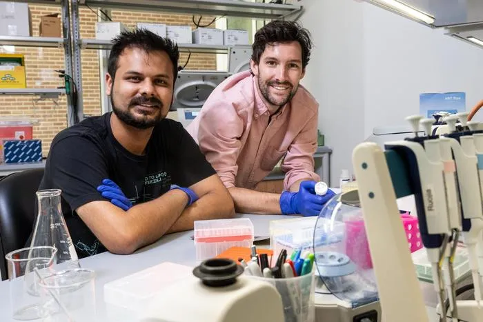 researchers