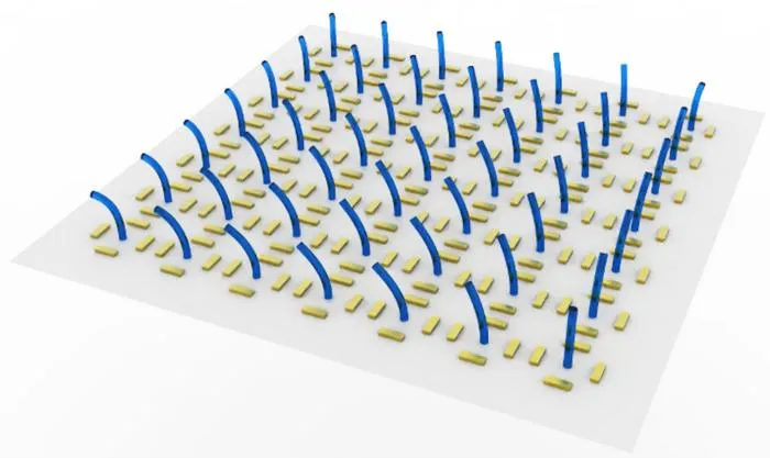 Schematic illustration of the hydrogel microcilia array