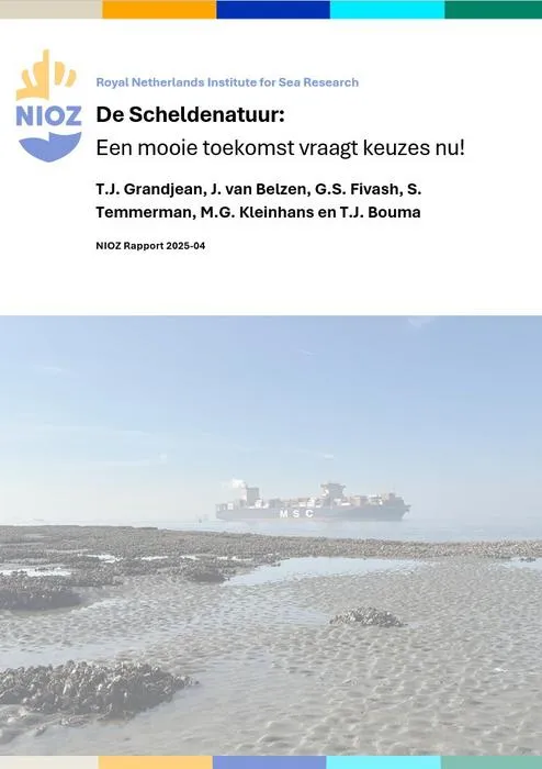 The report