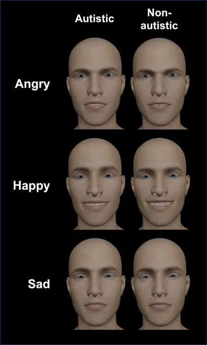 Avatars of posed facial expression emotions