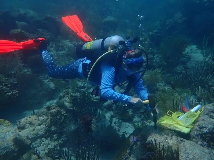 Scientist sampling