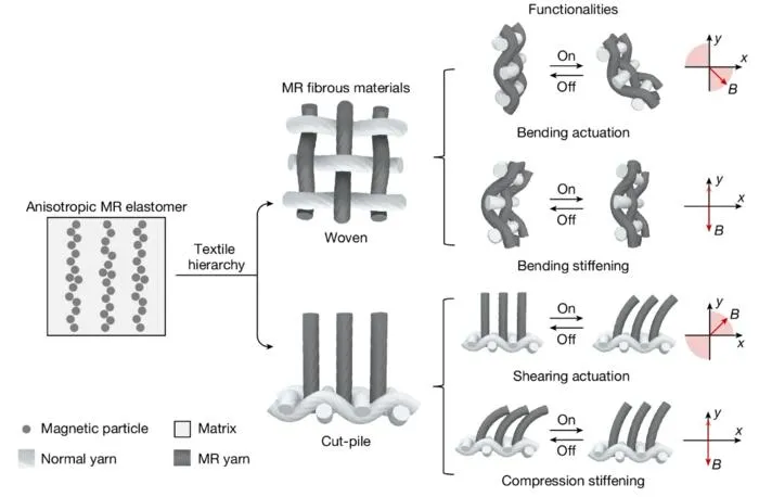 PolyU develops new human-safe magnetorheological fibres, leading innovations in smart wearable textiles