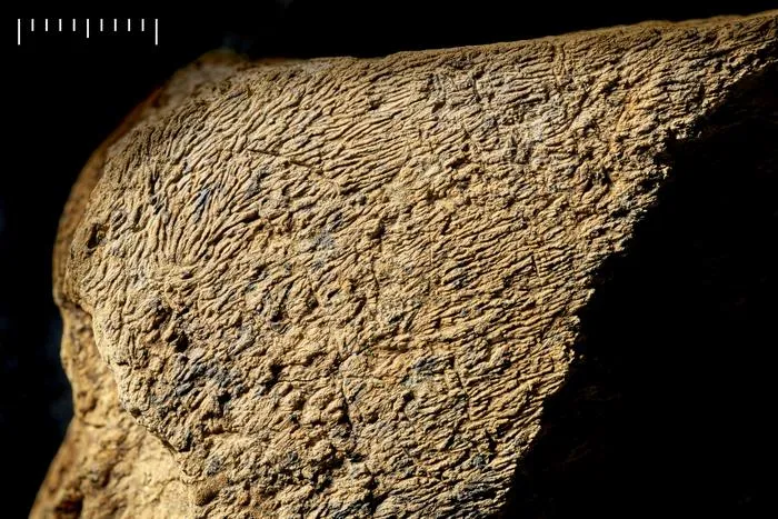 Artefact detail 2