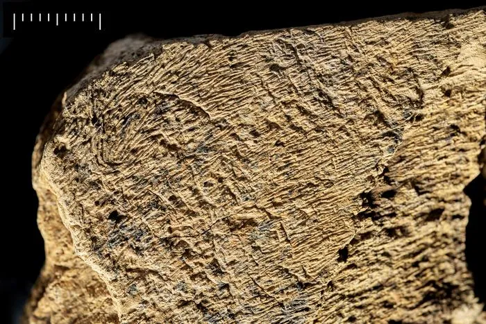 Artefact detail 1