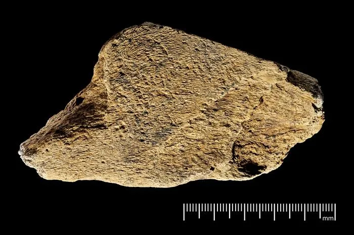 Artefact