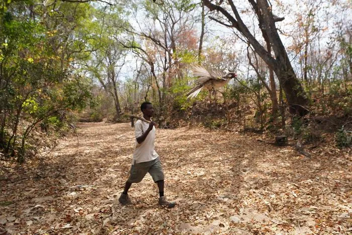 Yao honey-hunter from northern Mozambique