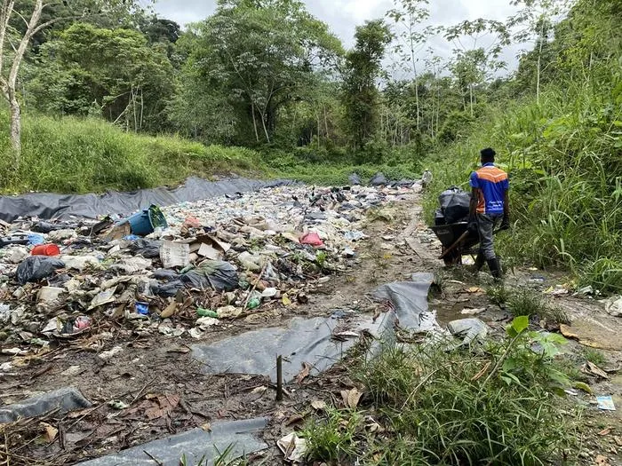 Litter invades the mangroves of tropical countries