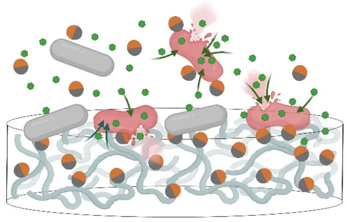 Fig. 1