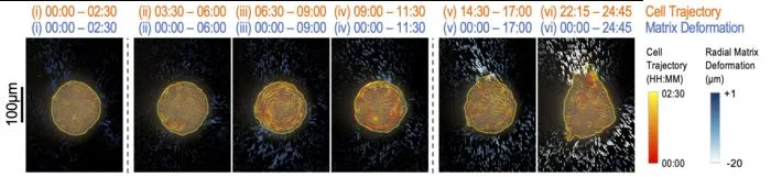 Orbit and invasion in multicellular spheroids