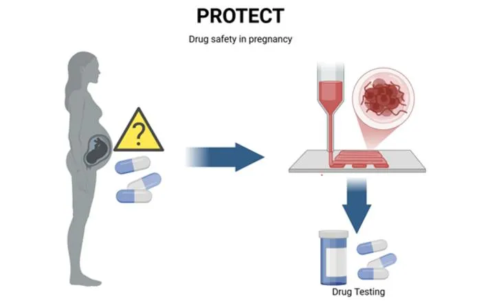 PROTECT project