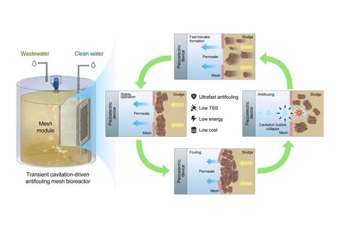 Schematic of transient cavitation-driven biofouling control using piezoelectric device.