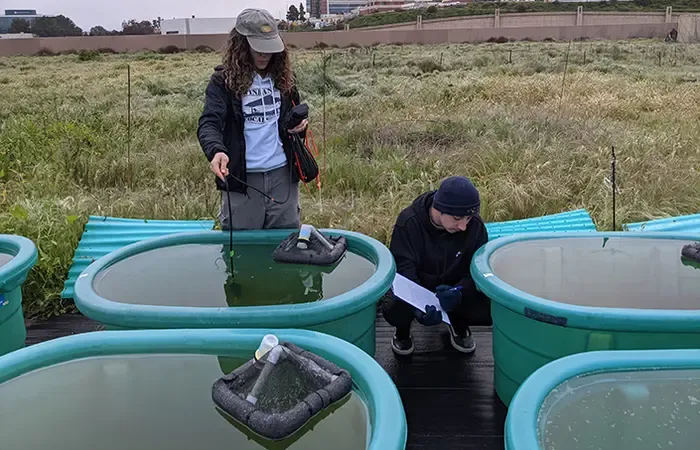 Water project