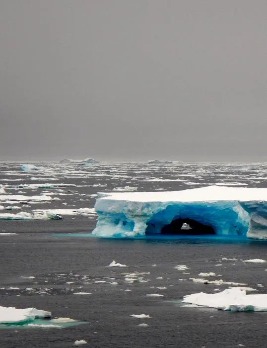 Iceberg South Pacific