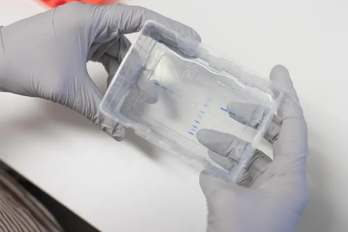 Visible proteins