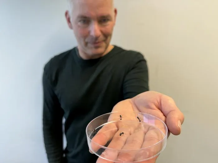 Markus Knaden with ant assay