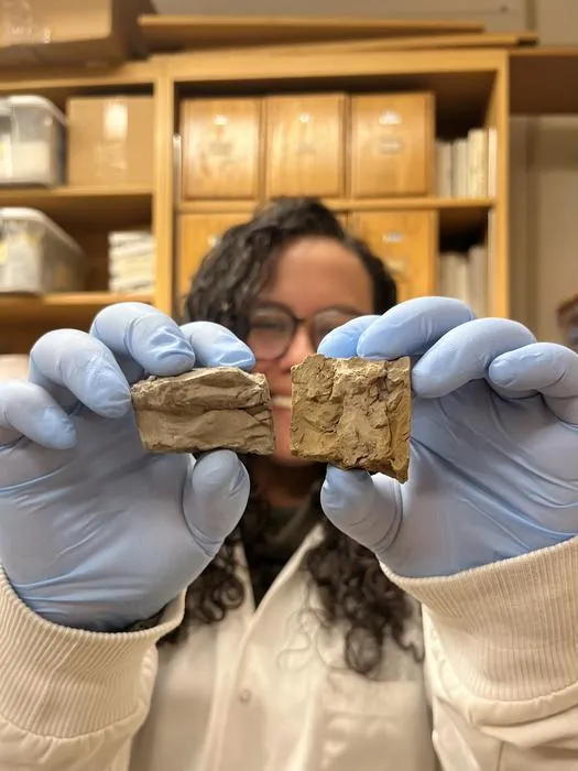 Lina Pérez-Angel is holding two two rock samples from the Funza-II core.