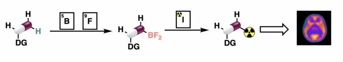 Boracycle function