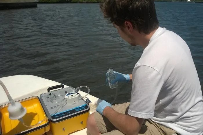 Shrinking Shellfish