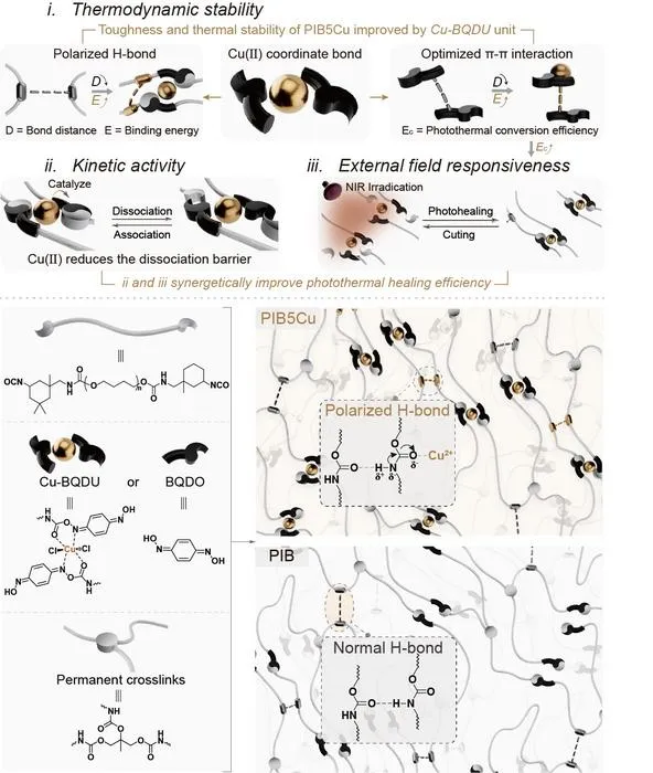Design of stable, tough, photohealable polymer and control polymer (PIB and PIB5Cu)