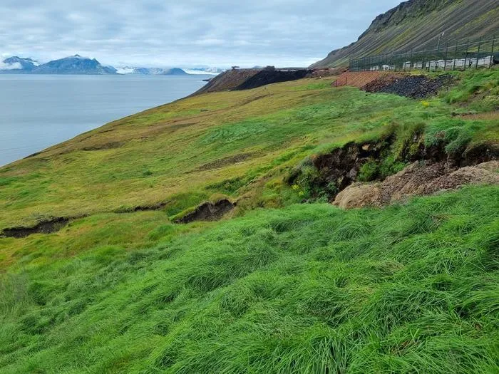 Human Activity Facilitating Alien Species Establishment in the Arctic