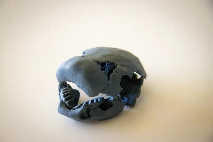 3D reconstruction