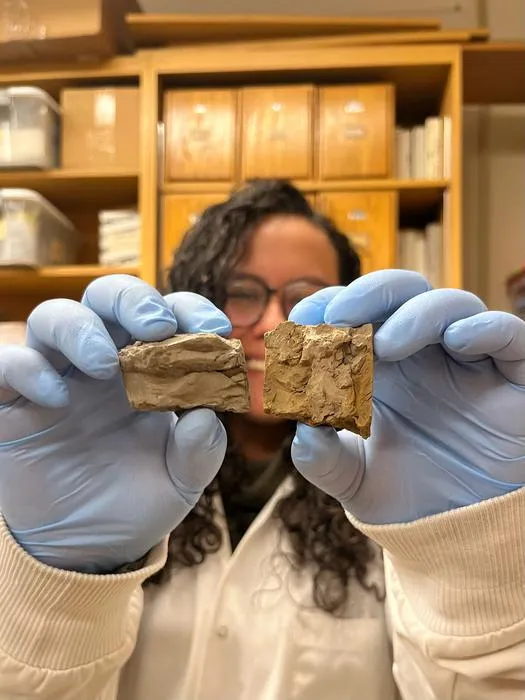 Sediment smaples