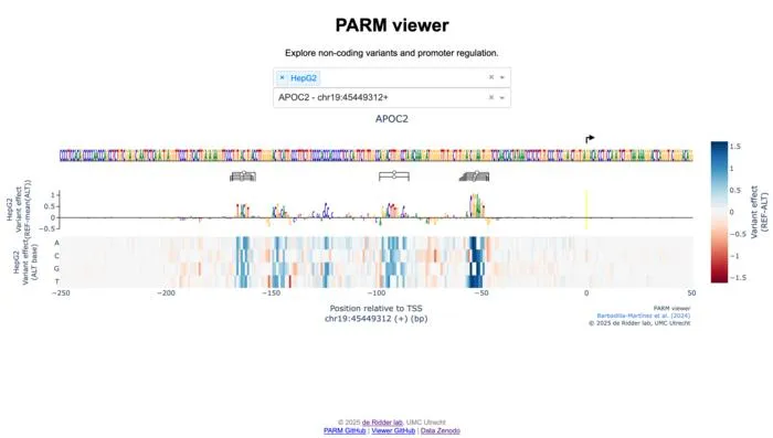 AI-model PARM for gene regulation