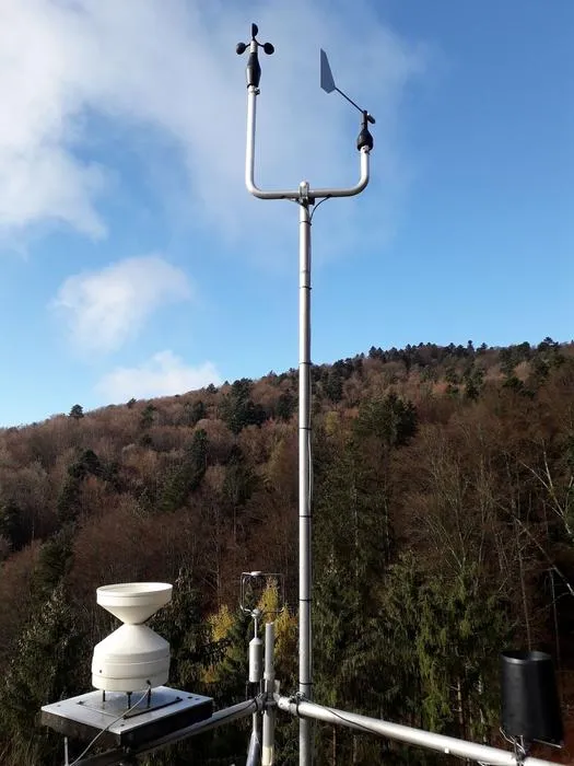 Weather stations provided the climate data: during the study period, average temperatures rose at the forest sites, while annual rainfall declined in most cases. Both these trends are typical of the local climate change.