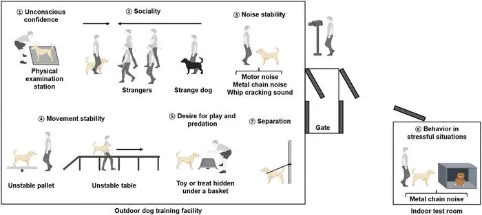 Associations between canine temperament and salivary concentrations of cortisol and serotonin