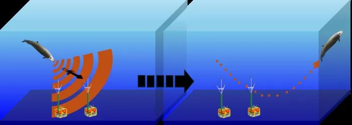 Beaked whale dive behavior and acoustic detection range off Louisiana using three-dimensional acoustic tracking