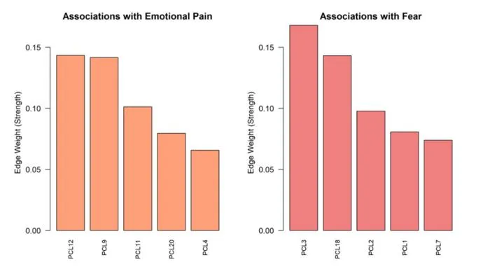 Dissecting Fear and Emotional Pain in PTSD: From Symptom Networks to Neural Signatures