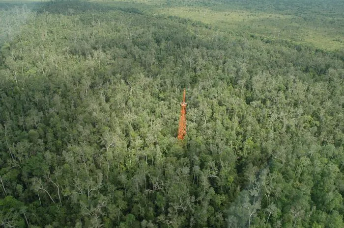 Observation Tower