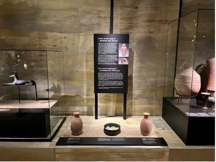 museum display