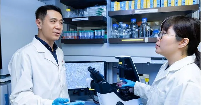 PolyU develops novel antibody targeting fat cell protein, offering new approach to treating metabolism-related liver cancer