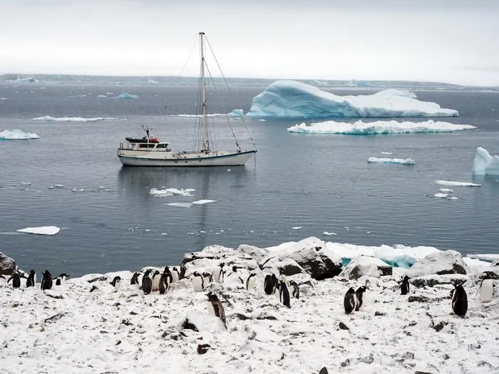 S/V Australis in Antarctica