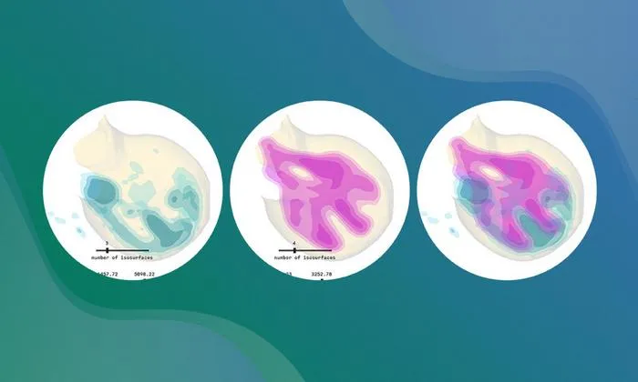 LimbLab: a tool to visualise development in 3D