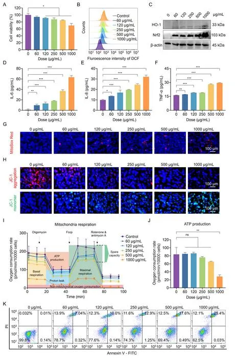 Figure 2. PS NPs induced the hierarchical oxidative stress responses in BEAS-2B cells.
