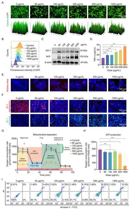 Figure 3. PS NPs induced the hierarchical oxidative stress responses in RAW 264.7 cells.