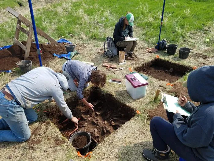 Working at the excavation site