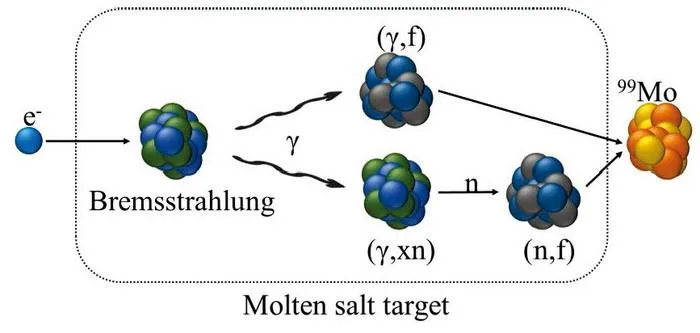 Schematic of the physical process for 99Mo production via electron irradiated molten salt.
