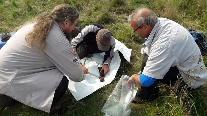 Fieldwork
