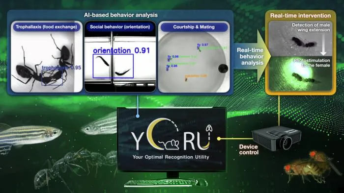 YORU watches animal behavior and controls brain cells in real time
