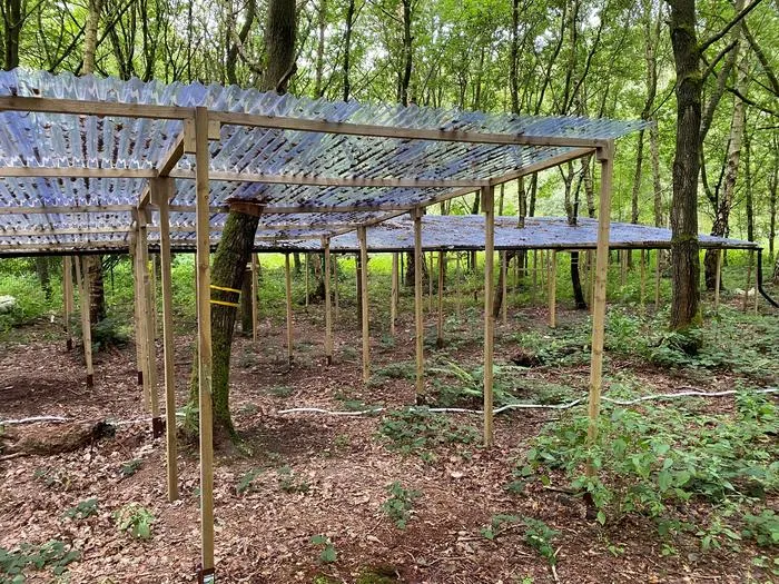 Rain exclusion shelters