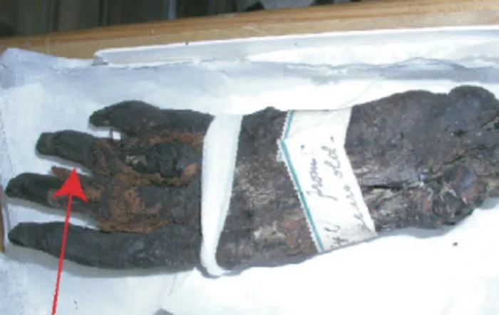 Scientists unravel mysterious musty aroma of ancient Egyptian mummies to reveal unprecedented historical insights