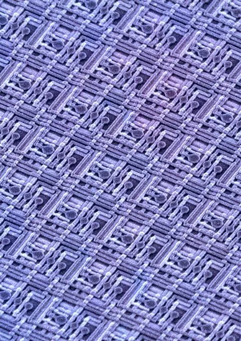 QARPET under SEM microscope