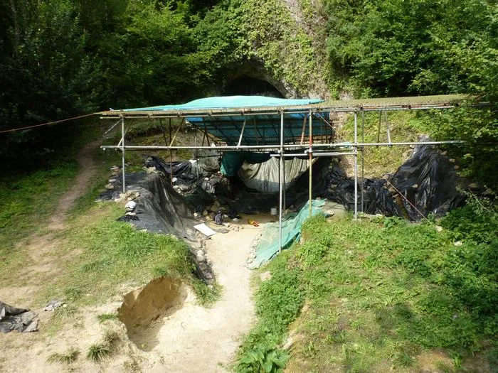 Belgium Cave