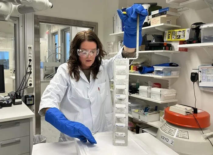 Samples for the research
