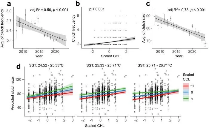 Trends and predictors of clutch frequency and size in loggerhead turtle from Sal Island.