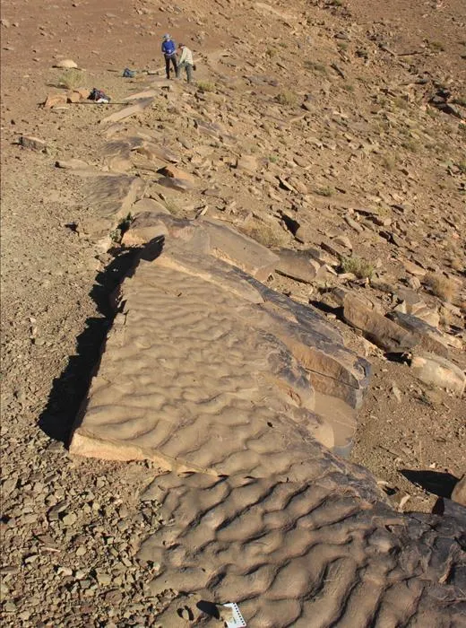 Wrinkle structure outcrop