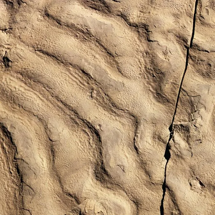 Turbidity current ripples